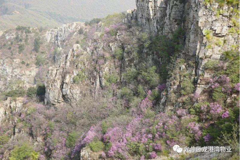 welcometo接待光临888集团(中国)有限公司