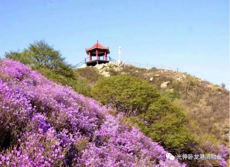 welcometo接待光临888集团(中国)有限公司