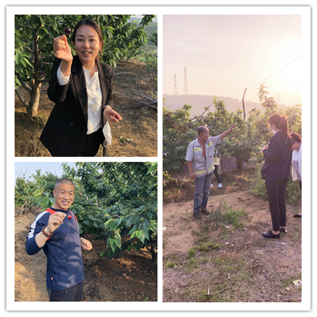 welcometo接待光临888集团(中国)有限公司