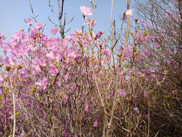 welcometo接待光临888集团(中国)有限公司